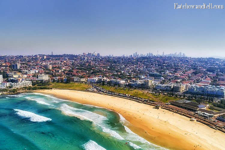 Panduan Wisata Pantai Bondi Legendaris Di Sydney